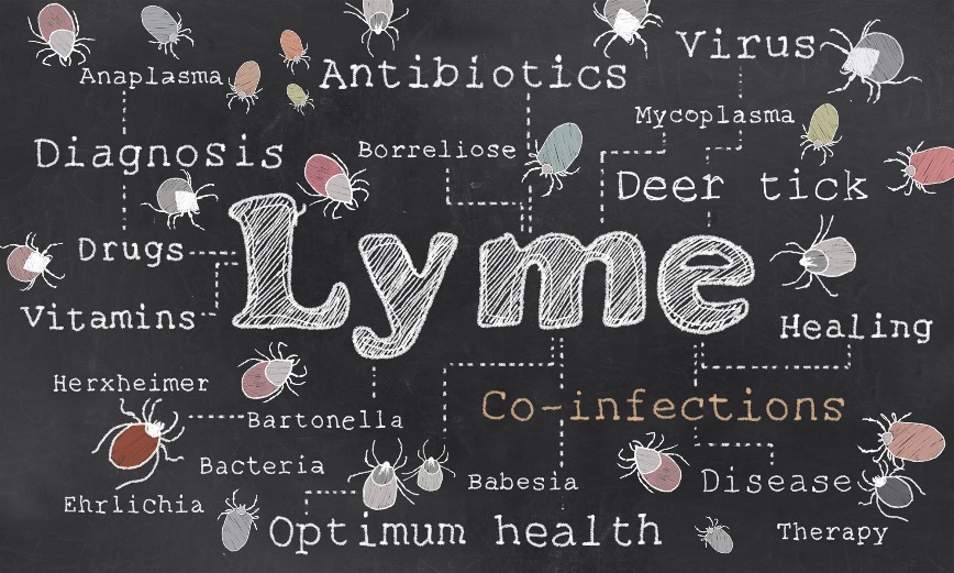 Lyme disease treatment