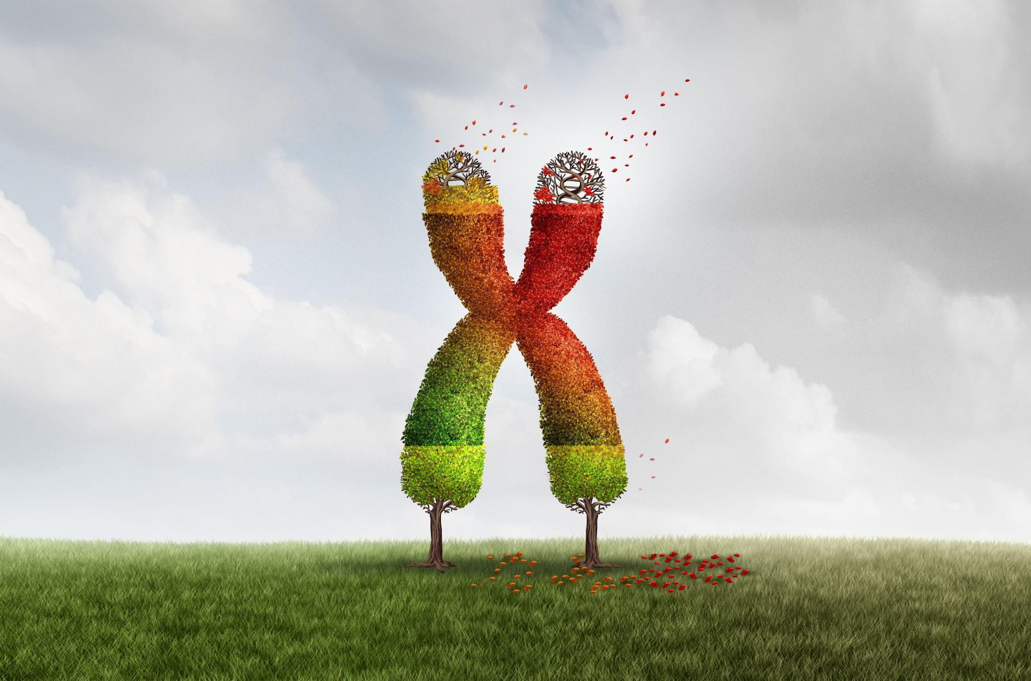 a green tree with falling red leaves on the end caps of a chromosome with 3D illustration elements.